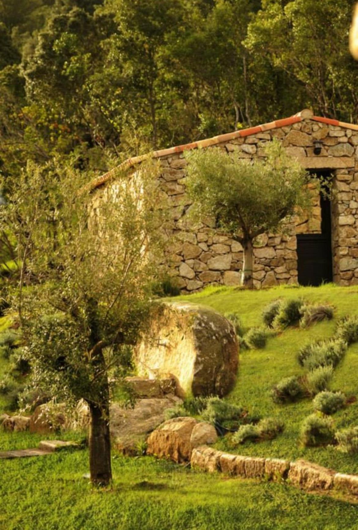 Bergerie Du Prunelli Cauro Kültér fotó