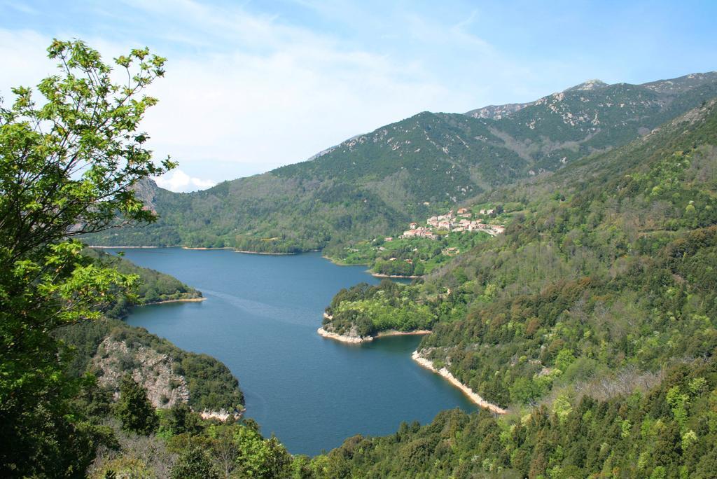 Bergerie Du Prunelli Cauro Kültér fotó